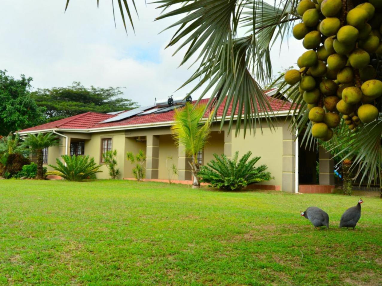 Villa Dumehlezi Self Catering Sodwana Bay Habitación foto